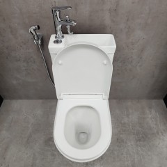 Унитаз Bloomix Prime F2071S/UF2 безободковый с раковиной
