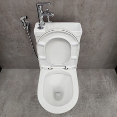 Унитаз Bloomix Prime F2071S/UF2 безободковый с раковиной