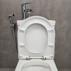 Унитаз Bloomix Prime F2071S/UF2 безободковый с раковиной
