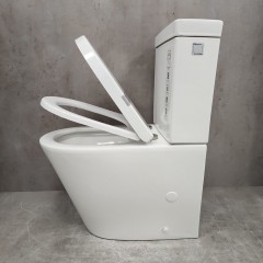 Унитаз Bloomix Prime F2071S/UF2 безободковый с раковиной