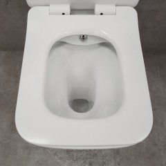 Унитаз Bloomix Dream CH2027SB/UF1 Ceramic+ безободковый с функцией биде и смесителем
