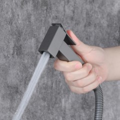 Смеситель с гигиеническим душем встраиваемый Boch Mann Resia GR BM10414