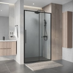 Душевая дверь Niagara Nova NG-34-13AGR