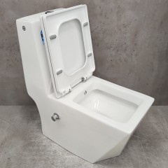 Унитаз Bloomix Berg 2071SB/UF2 Ceramic+ моноблок с функцией биде и смесителем