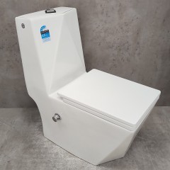 Унитаз Bloomix Berg 2071SB/UF2 Ceramic+ моноблок с функцией биде и смесителем