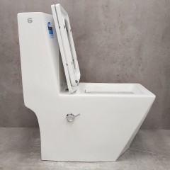 Унитаз Bloomix Berg 2071SB/UF2 Ceramic+ моноблок с функцией биде и смесителем