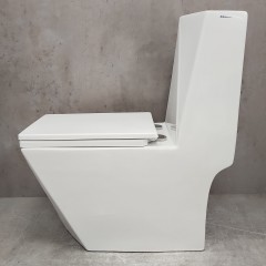 Унитаз Bloomix Berg 2071SB/UF2 Ceramic+ моноблок с функцией биде и смесителем