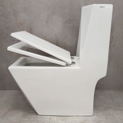 Унитаз Bloomix Berg 2071SB/UF2 Ceramic+ моноблок с функцией биде и смесителем