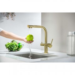 Смеситель для кухни Aquatek Европа AQ1385BG