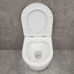 Инсталляция Geberit 458.149.21.1 + кнопка смыва Delta01 115.107.21.1 + унитаз Bloomix Diva MD1211R/UF1 безободковый Ceramic+ с сиденьем