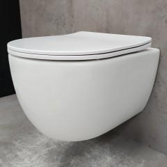 Инсталляция Geberit 458.149.21.1 + кнопка смыва Delta01 115.107.21.1 + унитаз Bloomix Diva MD1211R/UF1 безободковый Ceramic+ с сиденьем