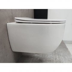 Инсталляция Geberit 458.149.21.1 + кнопка смыва Delta01 115.107.21.1 + унитаз Bloomix Diva MD1211R/UF1 безободковый Ceramic+ с сиденьем