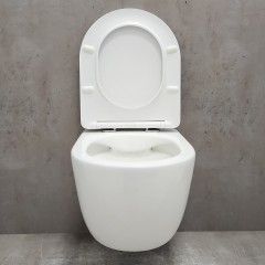 Инсталляция Geberit 458.128.21.1 + унитаз Bloomix Diva MD1211R/UF3 безободковый с сиденьем