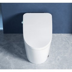 Унитаз-биде электронный Cerutti Mirella Smart CT10615 безободковый