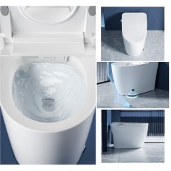 Унитаз-биде электронный Cerutti Mirella Smart CT10615 безободковый