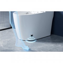 Унитаз-биде электронный Cerutti Mirella Smart CT10615 безободковый