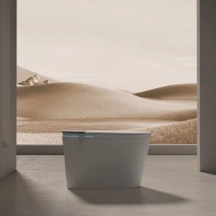 Унитаз-биде электронный Cerutti Ester Smart CT10617 безободковый
