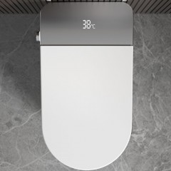 Унитаз-биде электронный Cerutti Ester Smart CT10617 безободковый