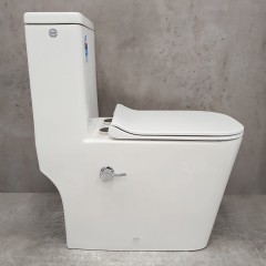 Унитаз Bloomix S-Line 2324SB/UF1 Ceramic+ моноблок безободковый с функцией биде и смесителем