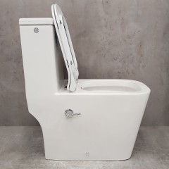 Унитаз Bloomix S-Line 2324SB/UF1 Ceramic+ моноблок безободковый с функцией биде и смесителем