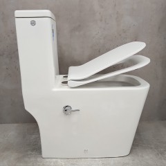 Унитаз Bloomix S-Line 2324SB/UF1 Ceramic+ моноблок безободковый с функцией биде и смесителем