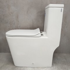 Унитаз Bloomix S-Line 2324SB/UF1 Ceramic+ моноблок безободковый с функцией биде и смесителем