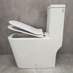 Унитаз Bloomix S-Line 2324SB/UF1 Ceramic+ моноблок безободковый с функцией биде и смесителем