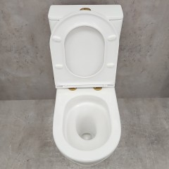 Унитаз Bloomix Barron 3.0 AD3091T/UF3gold безободковый торнадо