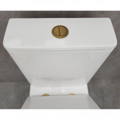 Унитаз Bloomix Barron 3.0 AD3091T/UF3gold безободковый торнадо