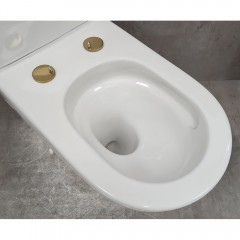 Унитаз Bloomix Barron 3.0 AD3091T/UF3gold безободковый торнадо
