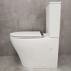 Унитаз Bloomix Barron 3.0 AD3091T/UF3gold безободковый торнадо