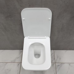 Инсталляция Grohe 38971000+ кнопка смыва Even 38966SH0 белый глянец + унитаз Bloomix Regnum 1202 безободковый с сиденьем