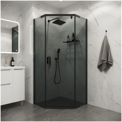 Душевое ограждение Niagara Eco NG-1009-14DT