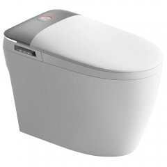 Унитаз-биде электронный Cerutti Ersilia Smart CT10616 безободковый