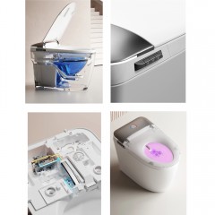 Унитаз-биде электронный Cerutti Ersilia Smart CT10616 безободковый