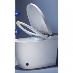 Унитаз-биде электронный Cerutti Ezio Smart CT11168 безободковый