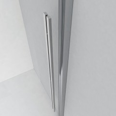 Душевая дверь Ambassador Intense 110021102IX