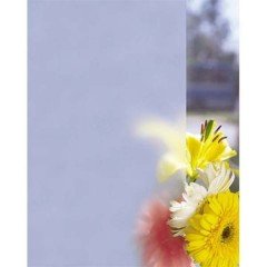 Душевая перегородка Vegas-Glass EAF