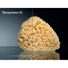 Душевая дверь Vegas-Glass Z2P