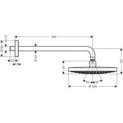 Верхний душ Hansgrohe Raindance Select S240 2jet 26466400