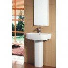 Тюльпан BelBagno Alpina