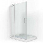 Душевая дверь BAS Пандора WTW120