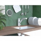 Смеситель для кухни Paulmark Hessen He213017-431