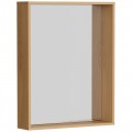 Зеркало Aqwella Basic 60x75 BAS0207DZ