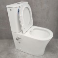 Унитаз Bloomix Alan 1219SB/UF1 Ceramic+ безободковый с функцией биде и смесителем