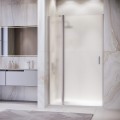 Душевая дверь RGW Leipzig LE-004 100 351200410-21