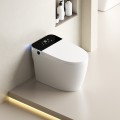 Унитаз-биде электронный SantiLine SL-5034