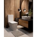 Унитаз AQUAme AQM1006+AQM1102 безободковый