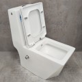 Унитаз Bloomix Berg 2071SB/UF2 Ceramic+ моноблок с функцией биде и смесителем