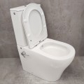 Унитаз Bloomix Rittberger AD3092TSB/F1 Ceramic+ безободковый торнадо с функцией биде и смесителем